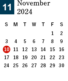 November 2024 Business day calendar